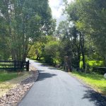 asphalt driveway1