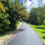 asphalt driveway2