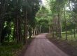 roadbase after