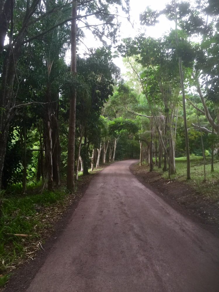 roadbase after roadbase after